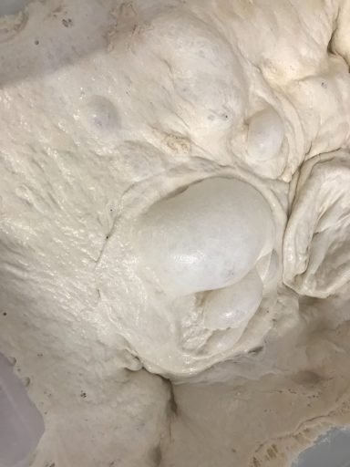 Notre pâte Pizza Napolitaine